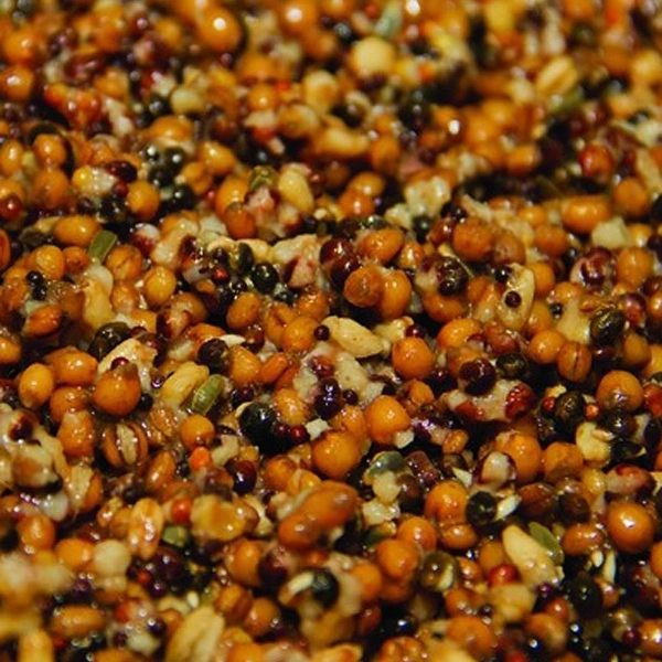 Dynamite Baits Frenzied Feeder Mixed Particles 700g Tin 2 Dynamite Baits Frenzied Feeder Mixed Particles 700g Tin - Image 2