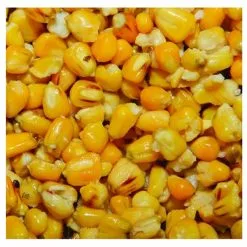 Dynamite Baits Frenzied Feeder Maize 700g Tin -Bait Ingredients Sales Store 05073 600 1