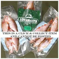 Lucebaits Coarsh Fish