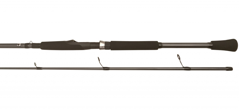 BFT - Big Fish Tackle BFT Raptor G2 Pike Spin 8' -100g, 2pcs Haspel 1 BFT - Big Fish Tackle BFT Raptor G2 Pike Spin 8' -100g, 2pcs Haspel