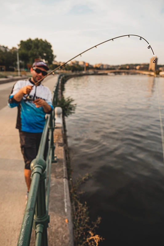 Fox Rage Street Fighter 5 Fox Rage Street Fighter - Image 5